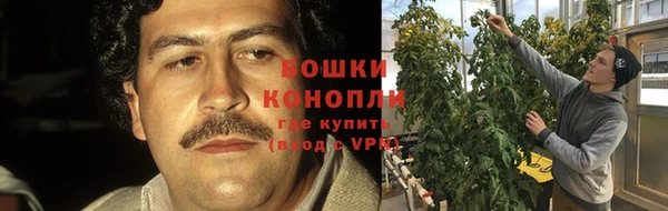 дмт Остров