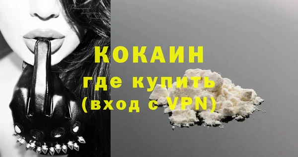 шишки Ветлуга