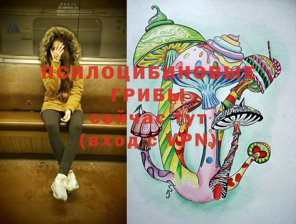 mdma Осинники