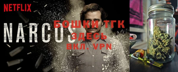 шишки Ветлуга